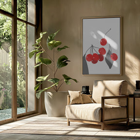 Cherries Poster