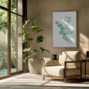 Two eucalyptus branches Poster