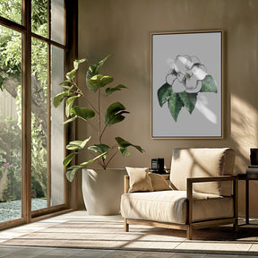 White magnolia Poster