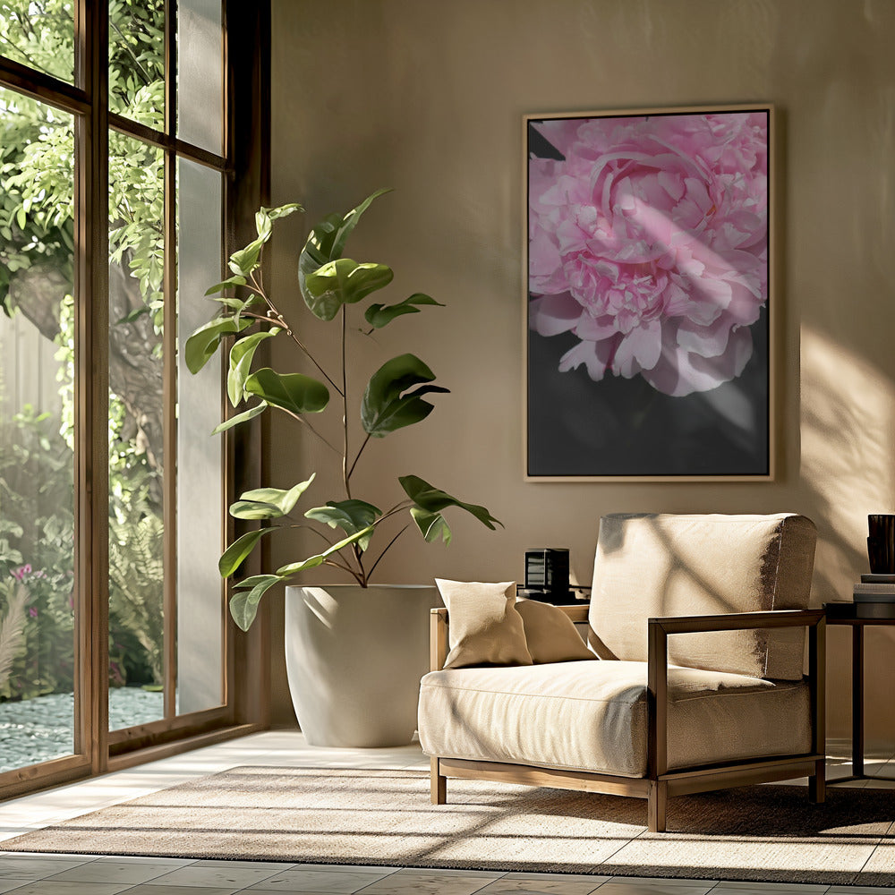 Pink peony V Poster