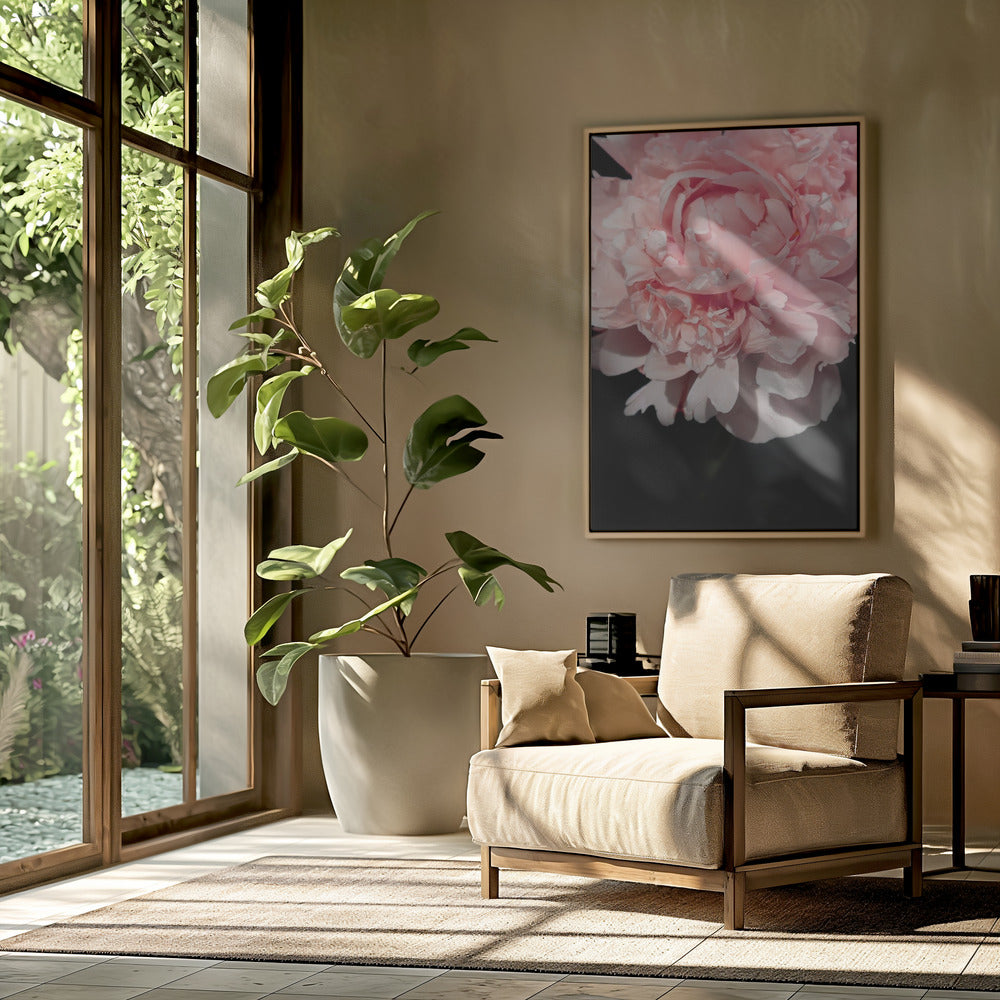 Blush peony V Poster