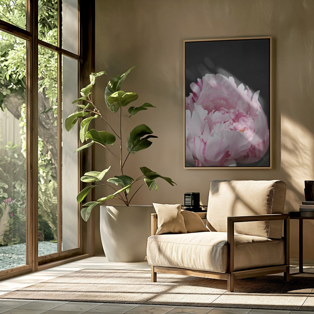 Pink peony VIII Poster