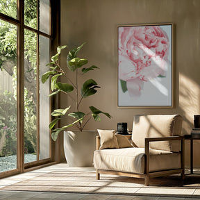 Blush peony VII Poster