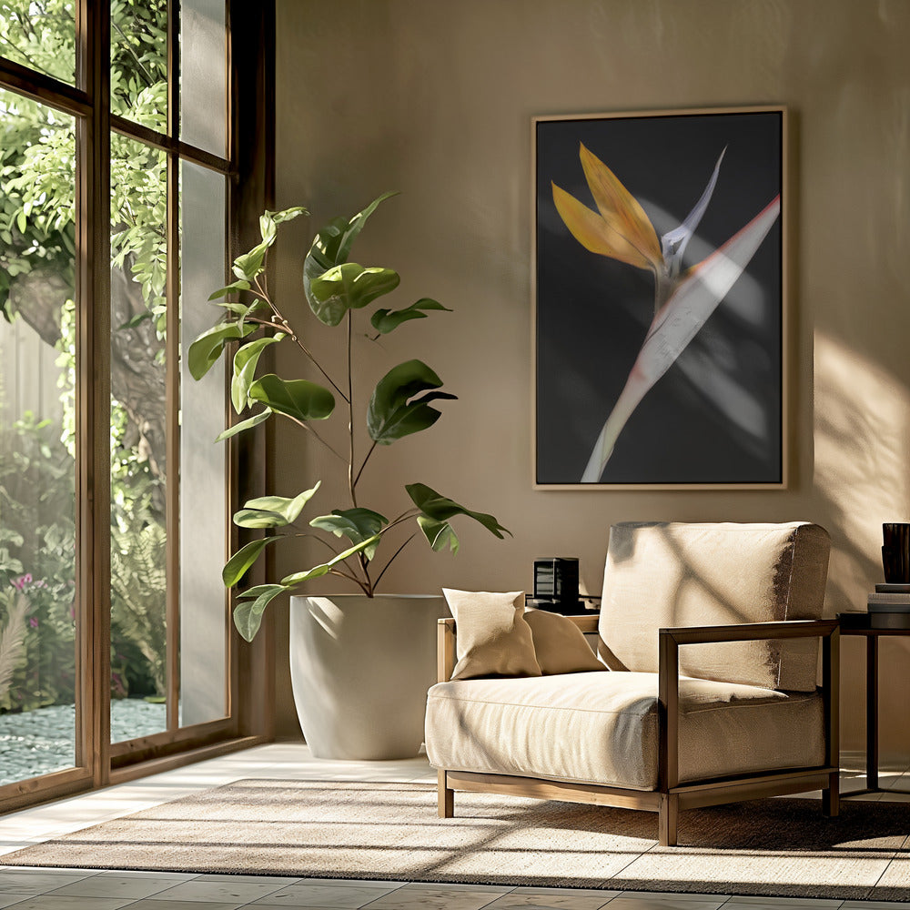 Bird of Paradise Poster