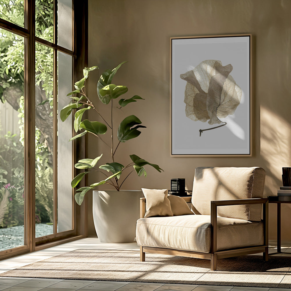 Bougainvillea Study No5 Poster