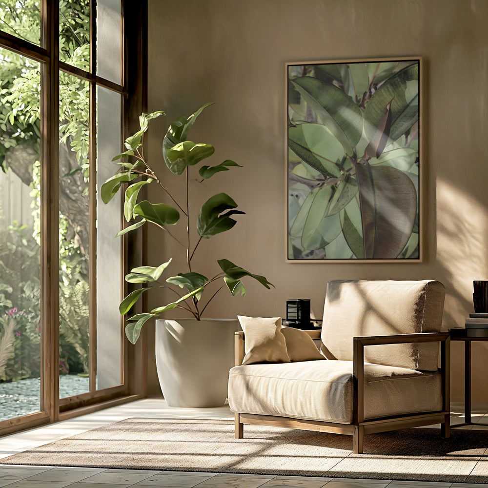 Ficus Elastica Poster