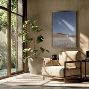 Namib One Poster