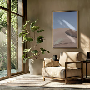 Namib Two Poster