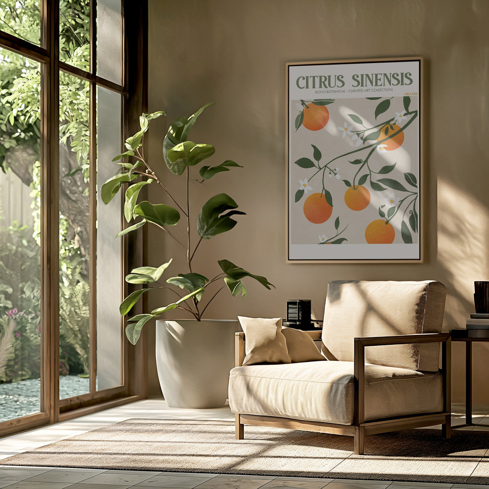 Citrus Sinensis - Orange Poster