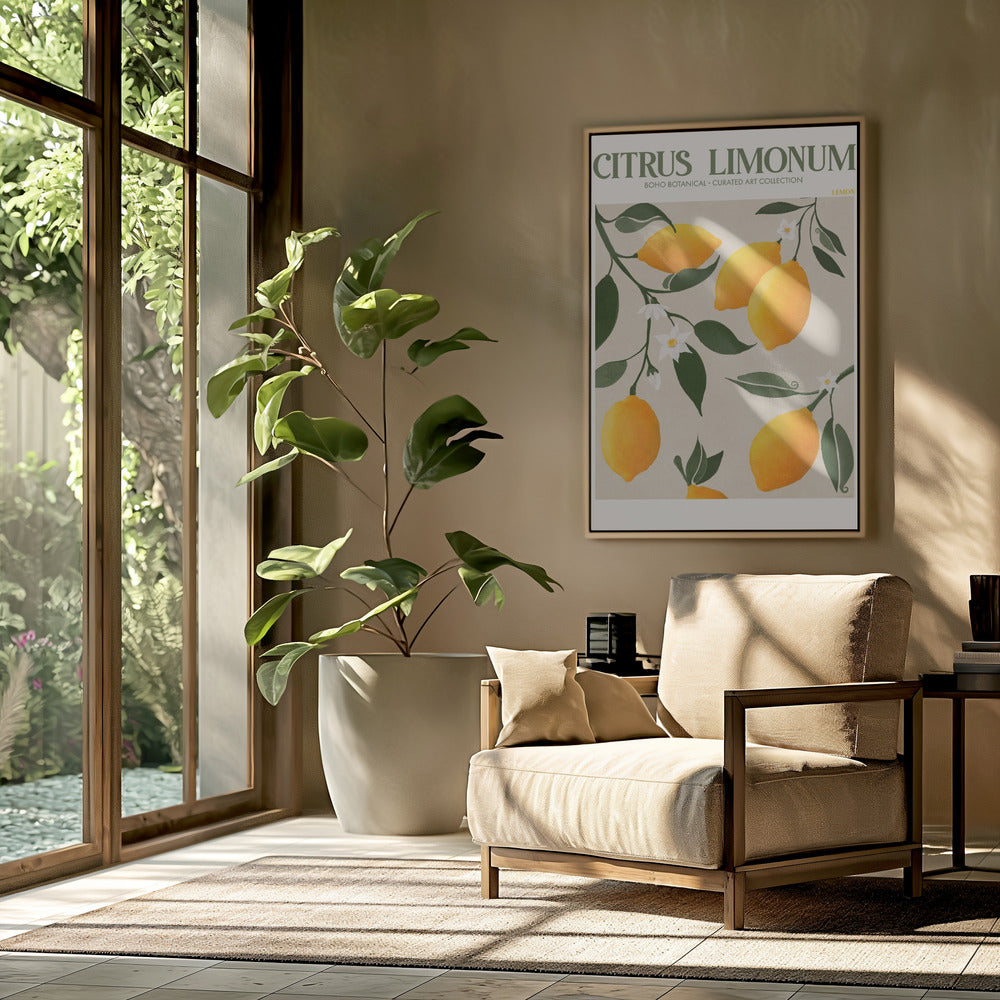 Citrus Limonum - Lemon Poster