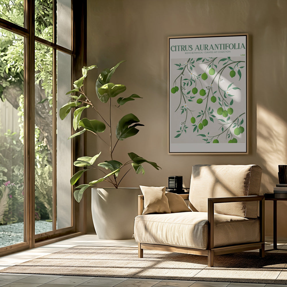 Citrus Aurantifolia - Lime Poster