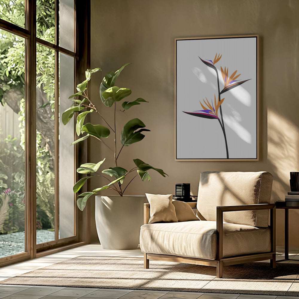 Bird of paradise in black Poster