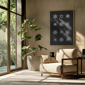 Twelve geometric snowflakes in black Poster