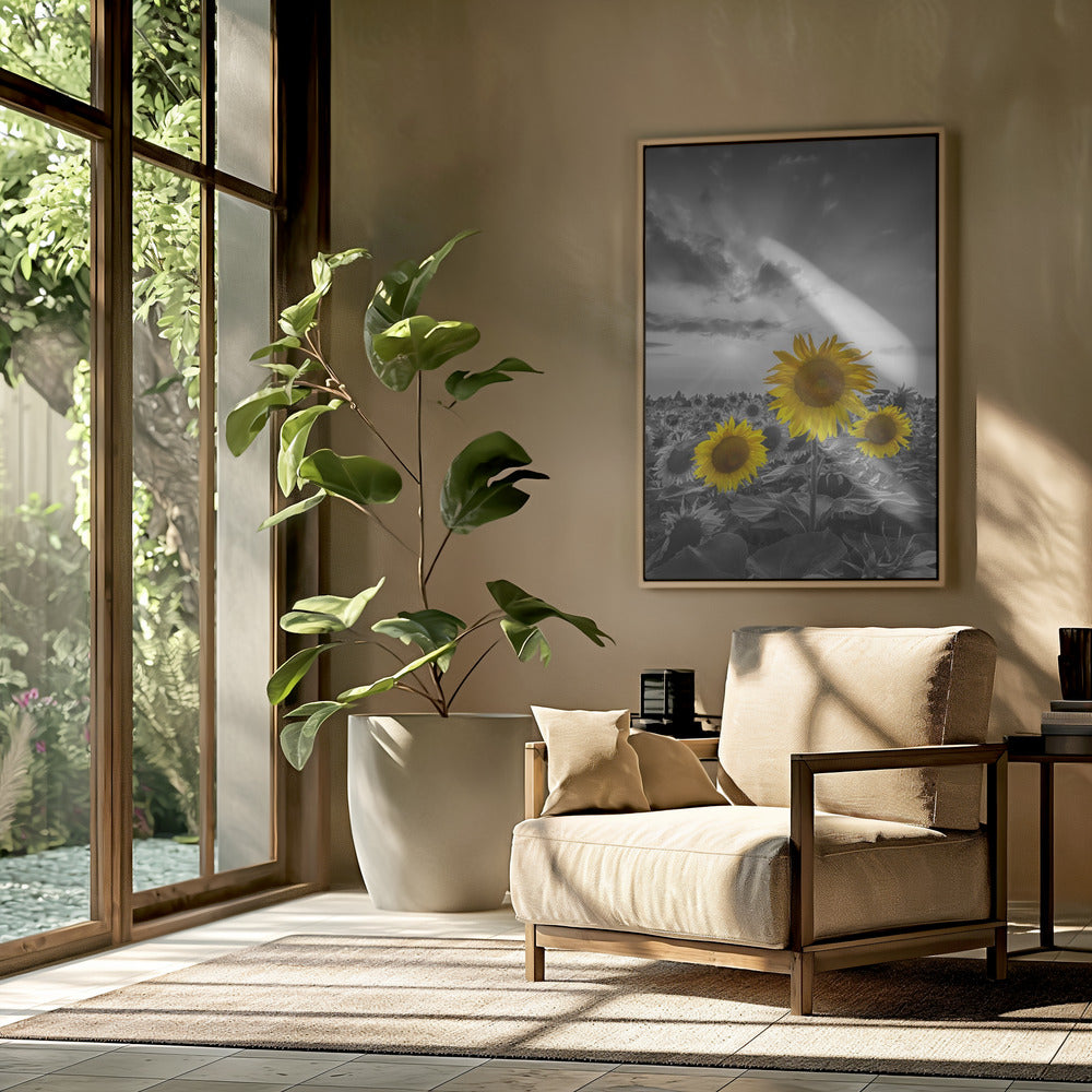 Yellow pop sunflowers Poster