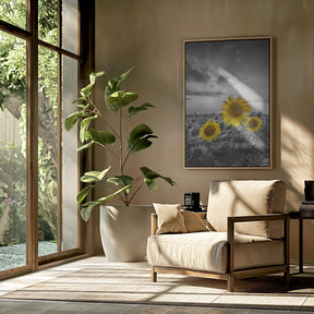 Yellow pop sunflowers Poster