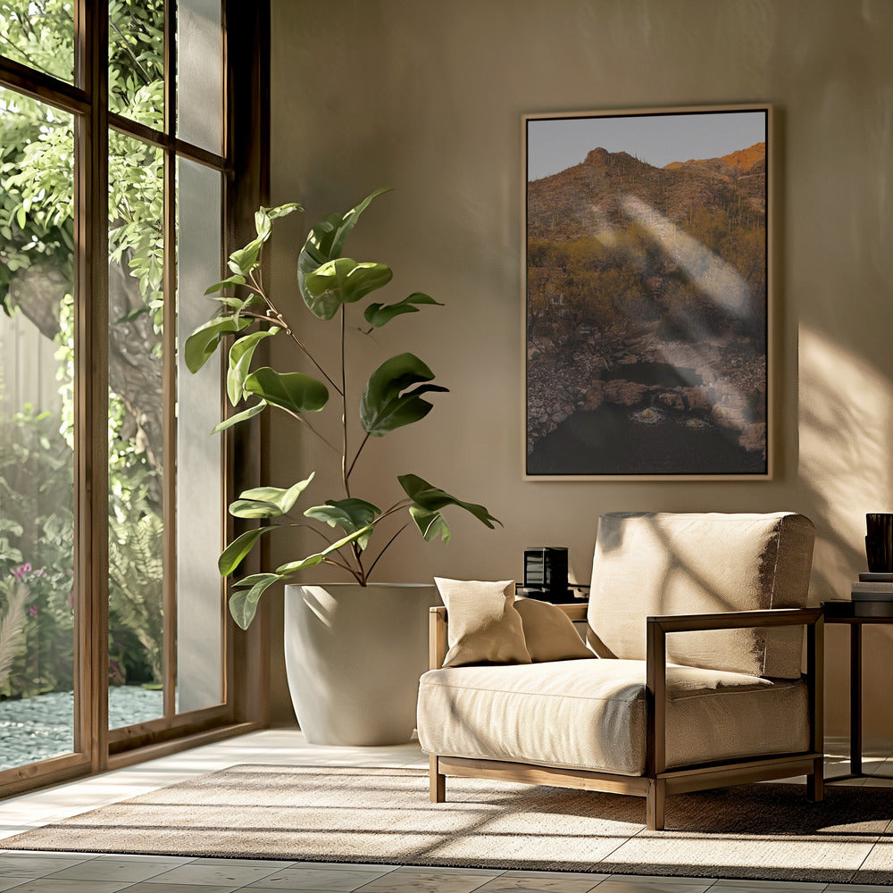 Ventana Canyon Poster