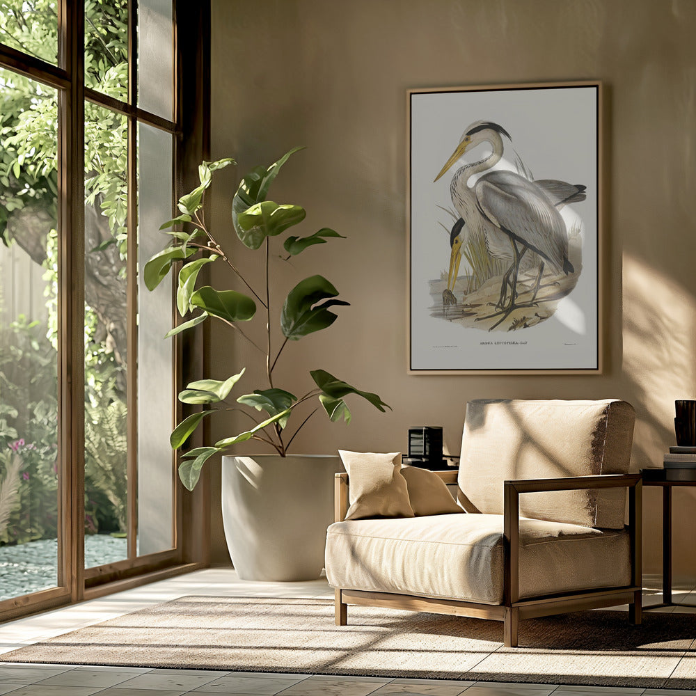 Great Grey Heron Poster