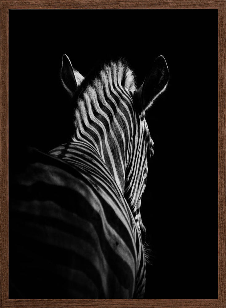 Stepping Down #6 Poster