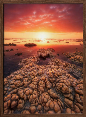 Low tide on the lagoon of Saint Leu. Poster