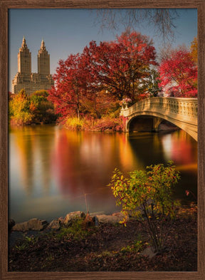 Fall in Central Park Poster