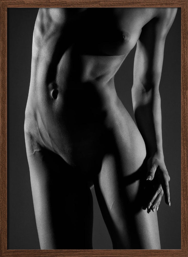 bodyscape Poster