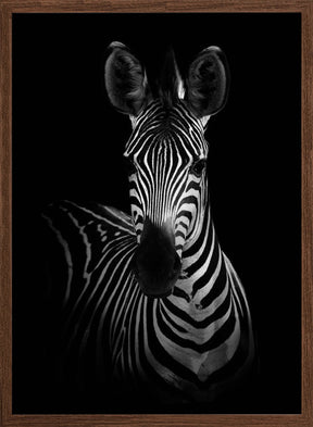 The Zebra Poster