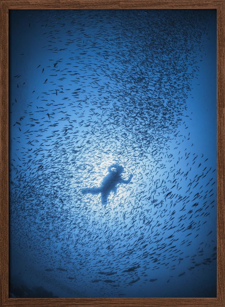 Diver and shoal of fish Poster