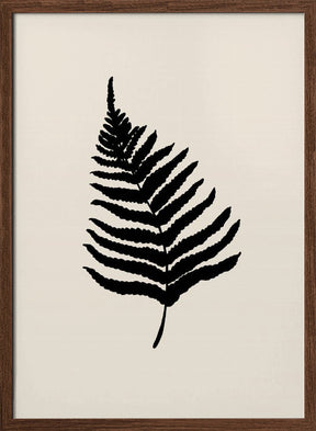 Fern Poster