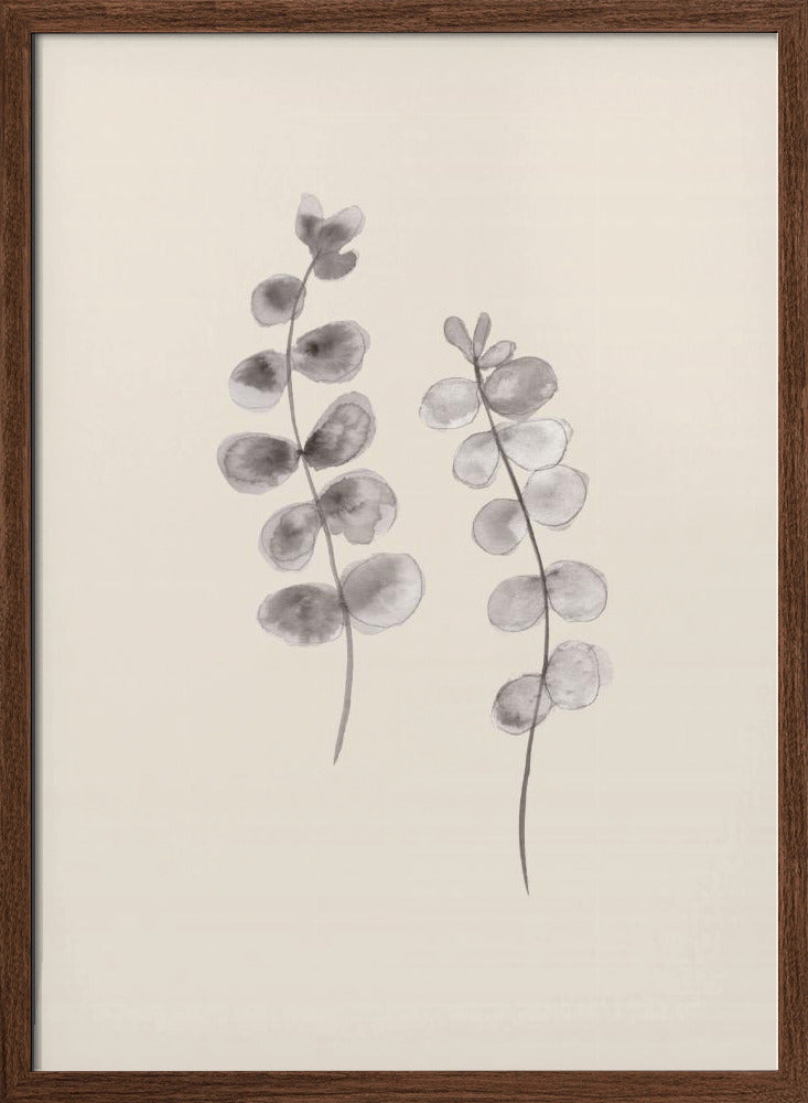 Eucalyptus Twigs Poster