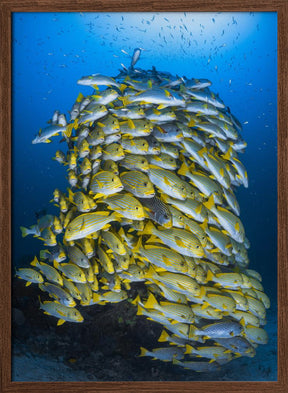 Fish Tower Poster