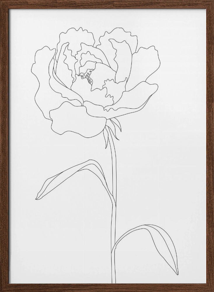 Peony Lines Poster