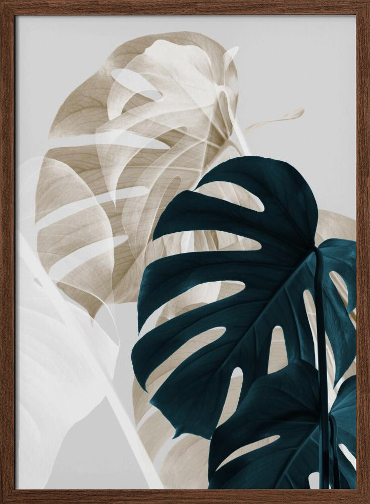 Monstera Creative 05 Poster