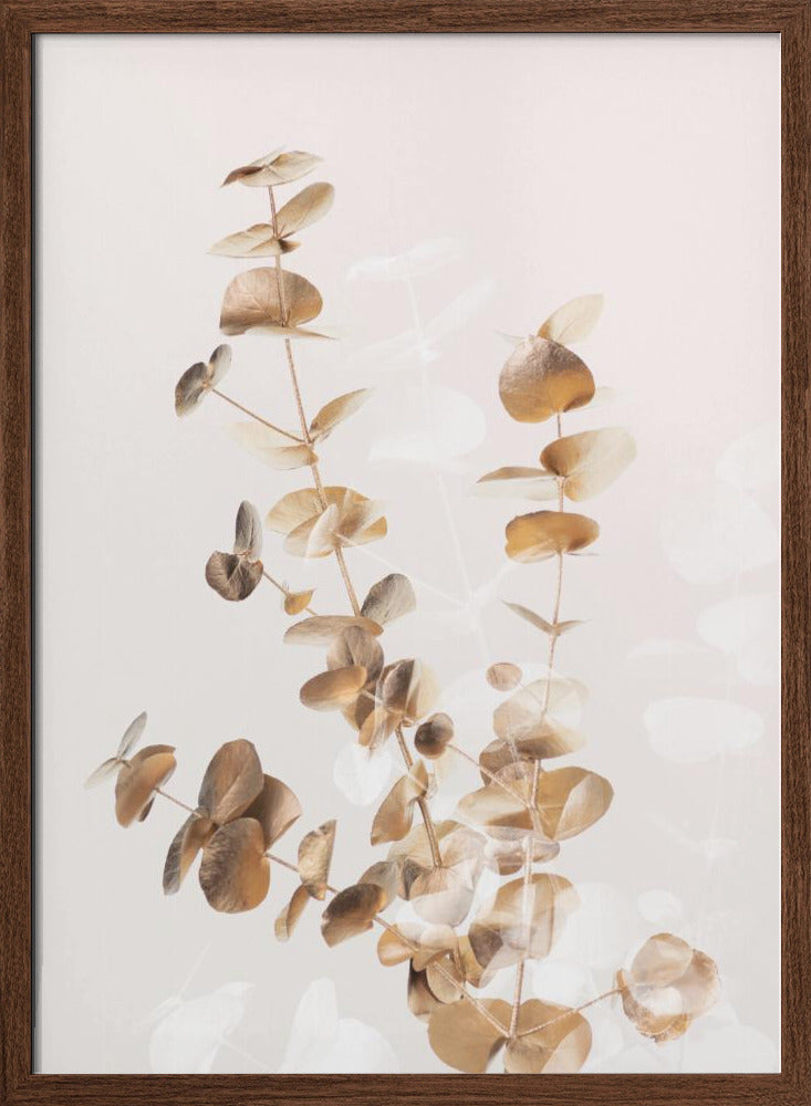 Eucalyptus Creative Gold 03 Poster