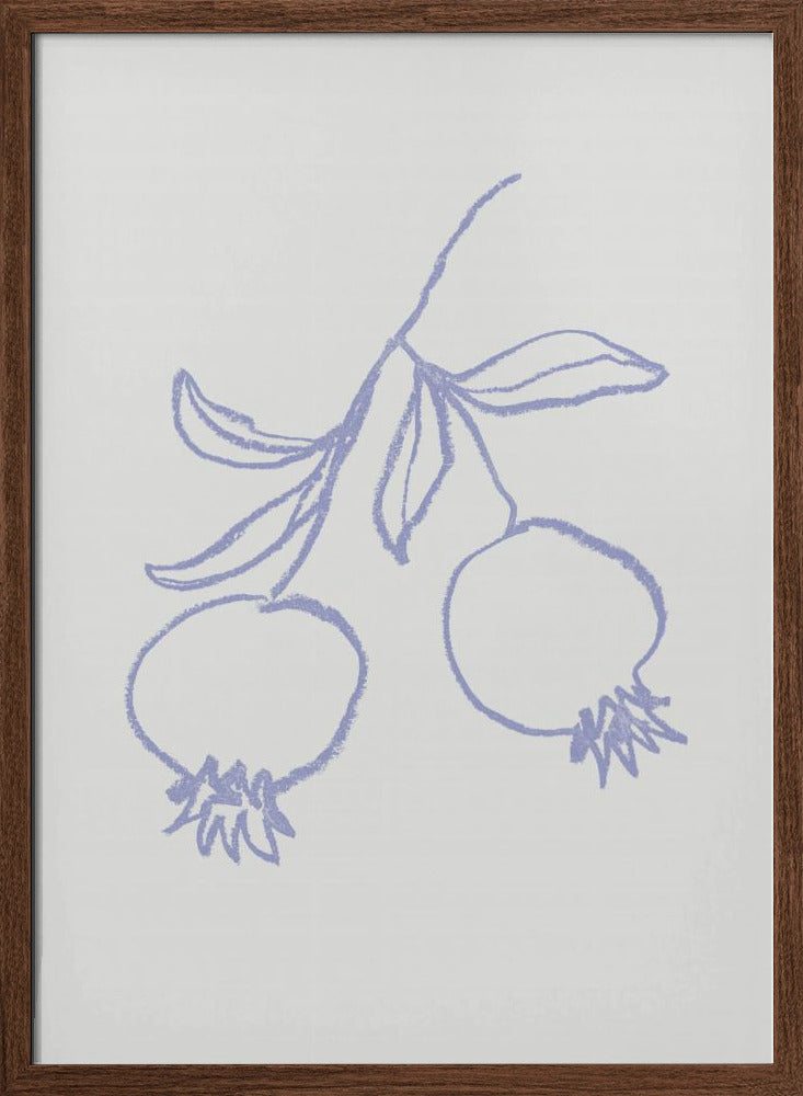 Pomegranate Lilac Poster