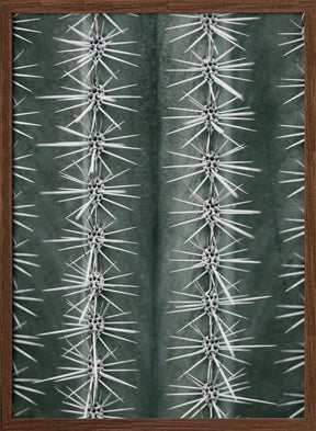 Cactus green Poster