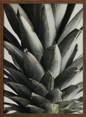 Pineapple close up Poster