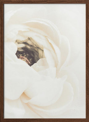 White Flower 01 Poster