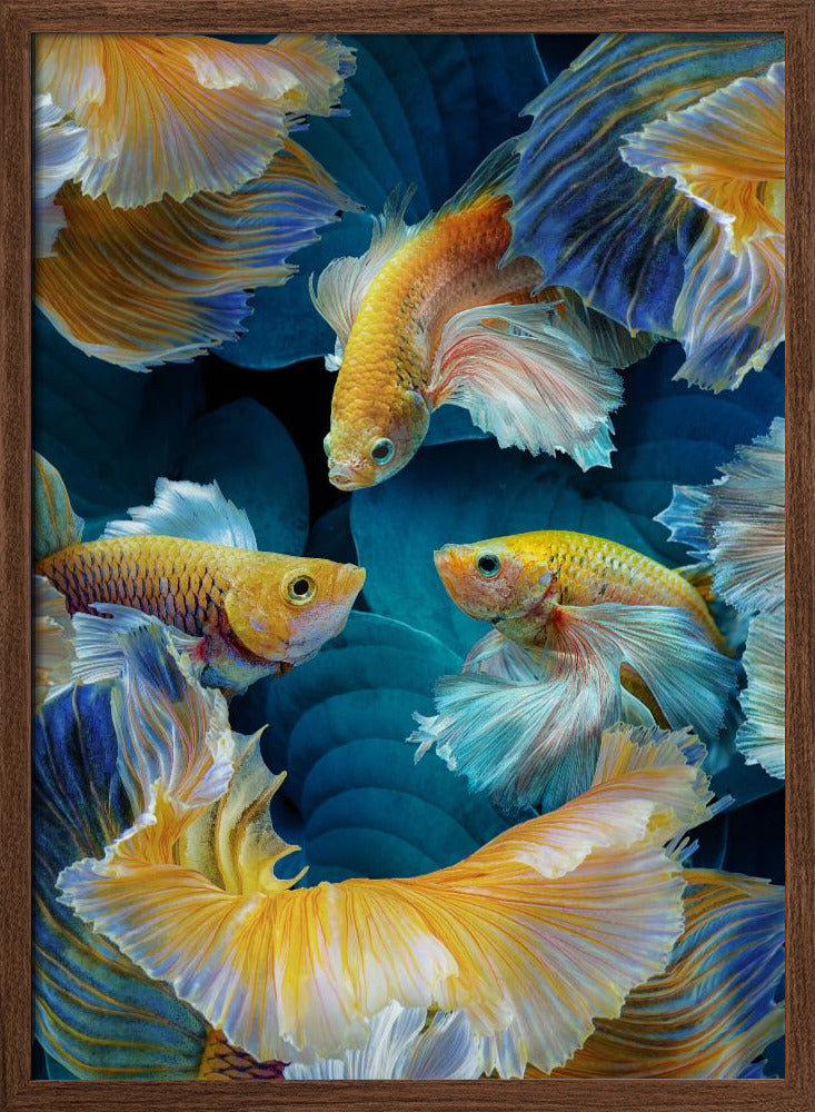 ColorFish Poster