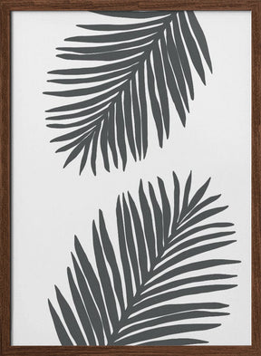 Palm Leaf Gray 01 Poster