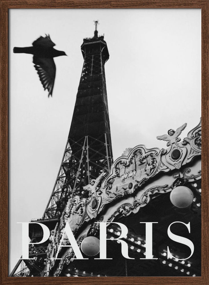 Paris Dove Poster