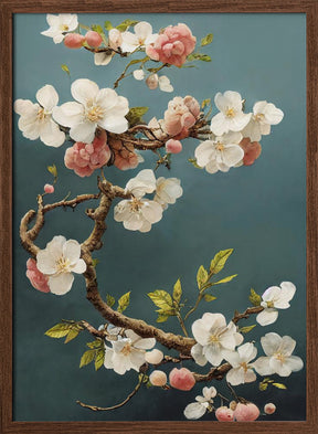 White Cherry Blossoms Poster