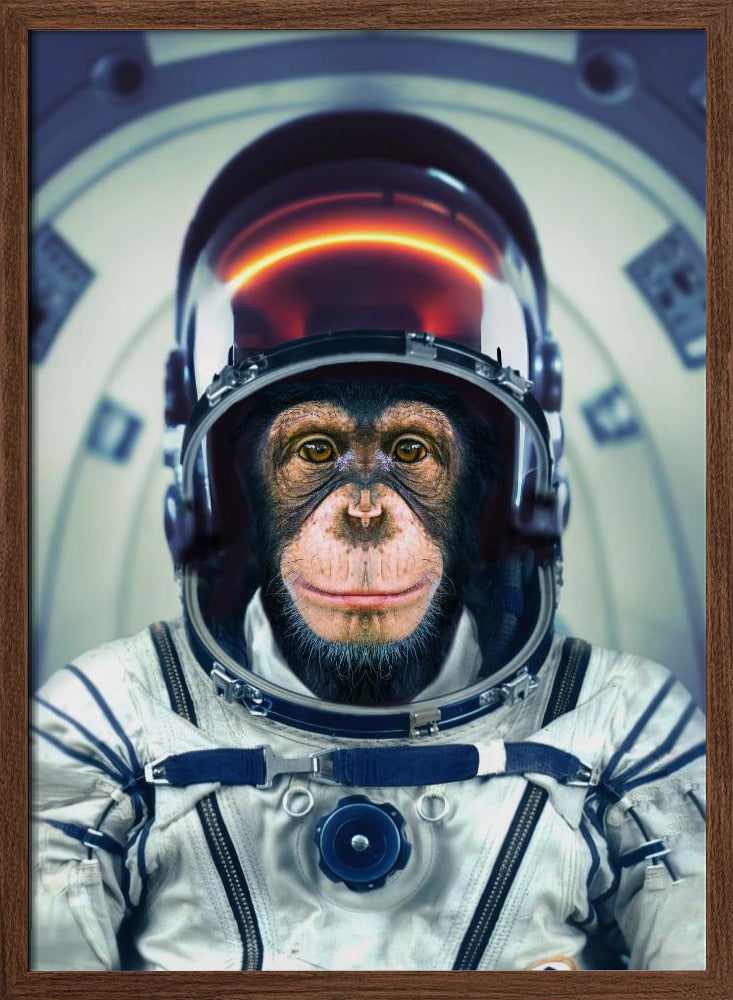 AstroMonkey Poster