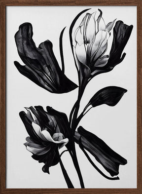 Black Flower Poster