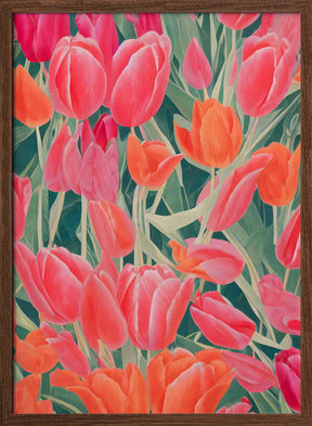 Pink Tulips Poster