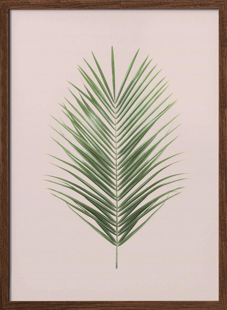 Palm Leaf Blush Poster