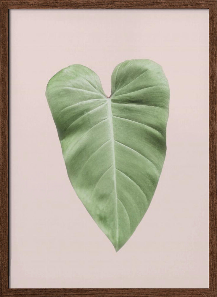 Tropical Leaf Blush Poster