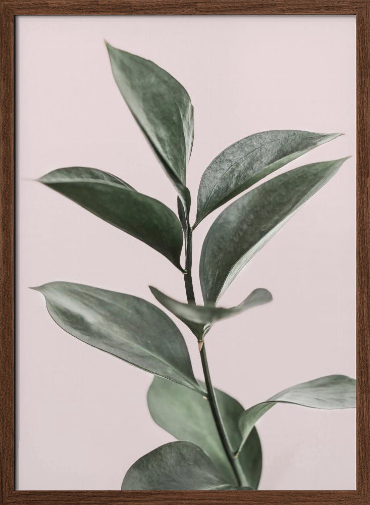 Foliage on Pink Poster