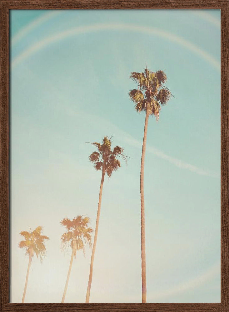 Sunny Cali Palm Tree Poster