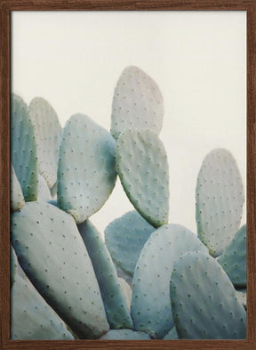 Pastel Cacti Poster