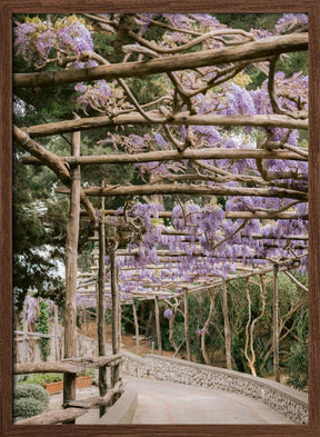 The Lavender Walkway Poster